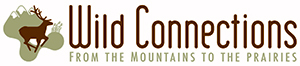 Wild Connections logo